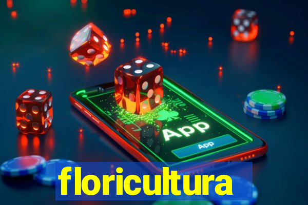 floricultura juazeiro bahia